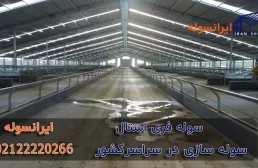 پرورش گاو مدرن به روش سوله فری استال (free stall)