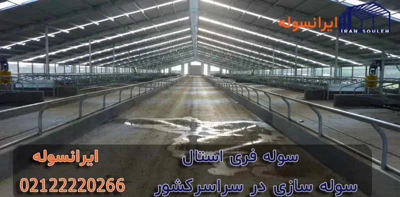 پرورش گاو مدرن به روش سوله فری استال (free stall)